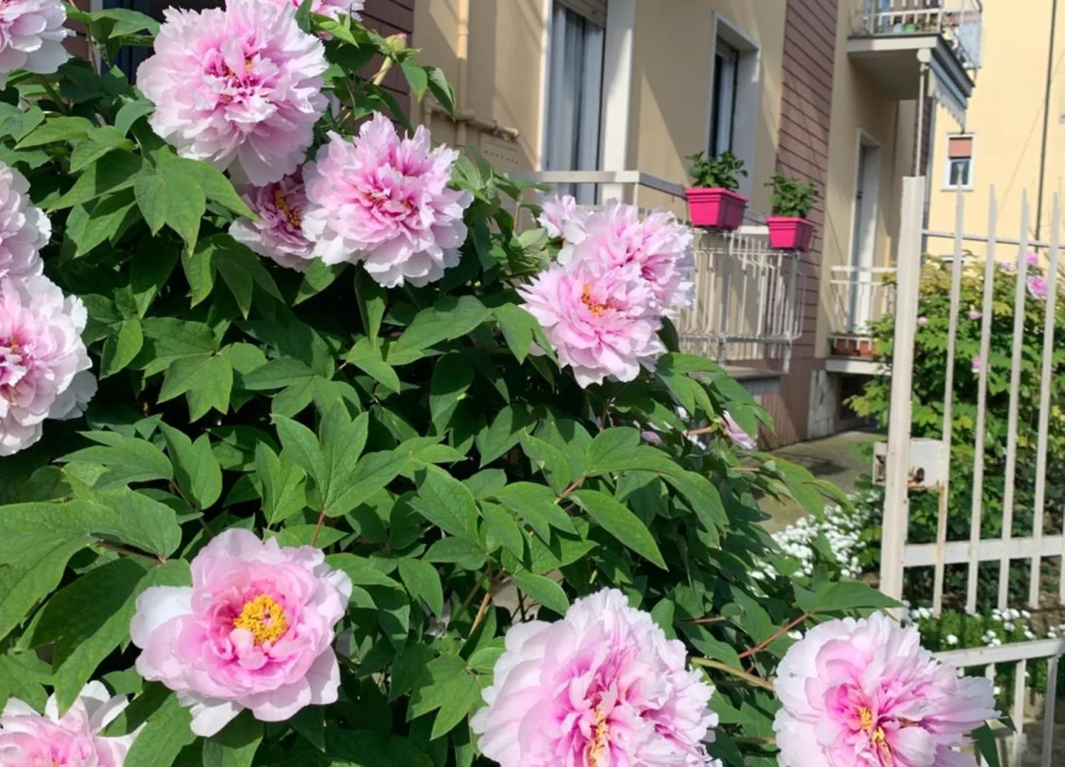 B&B Calvino Piacenza 0*,  Italia